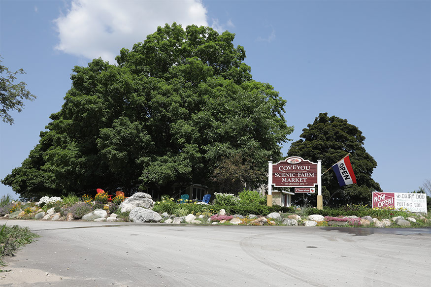Georgia Community Powered 100% by Geothermal 15 coveyou scenic farm market front Georgia Community Powered 100% by Geothermal