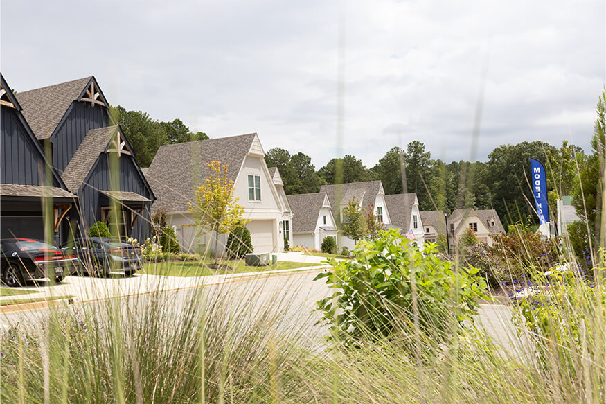 Georgia Community Powered 100% by Geothermal 4 house and plants georgia community Georgia Community Powered 100% by Geothermal